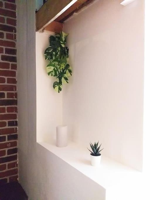 Appartamento Le Paisible - Gare - Duplex - Garage Prive - Netflix Grenoble Esterno foto