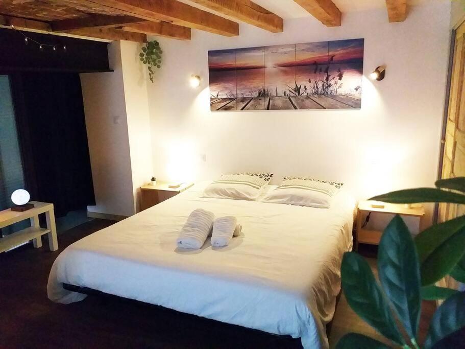 Appartamento Le Paisible - Gare - Duplex - Garage Prive - Netflix Grenoble Esterno foto