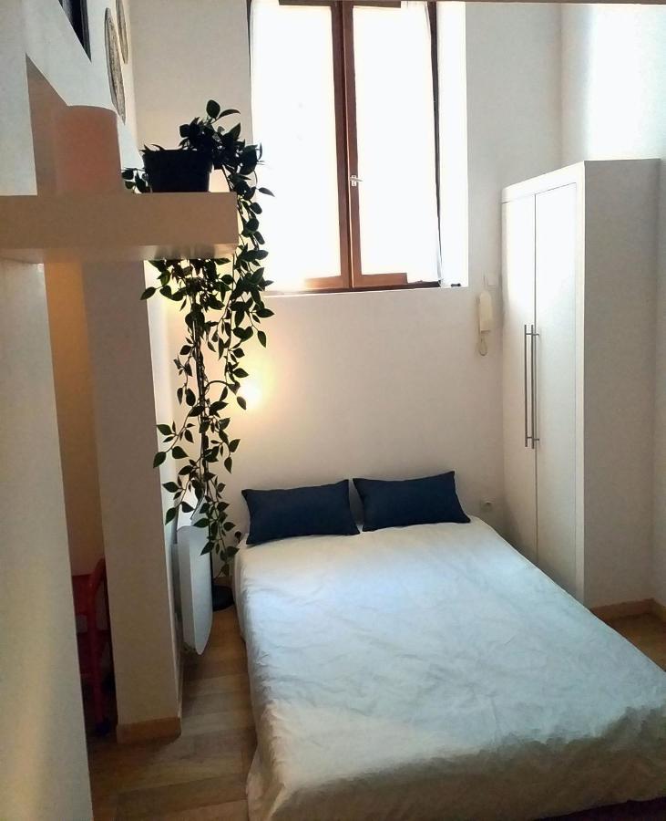 Appartamento Le Paisible - Gare - Duplex - Garage Prive - Netflix Grenoble Esterno foto
